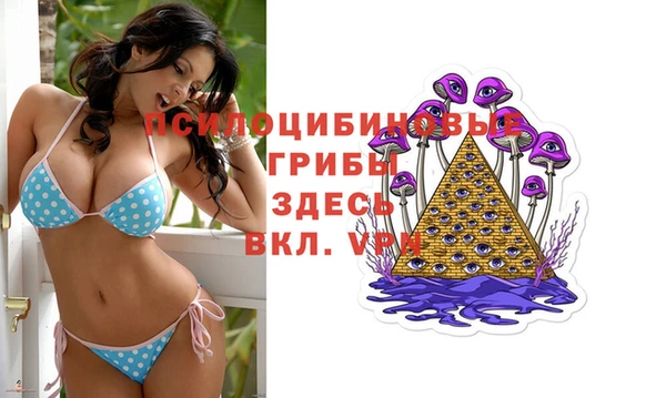 спайс Алексеевка