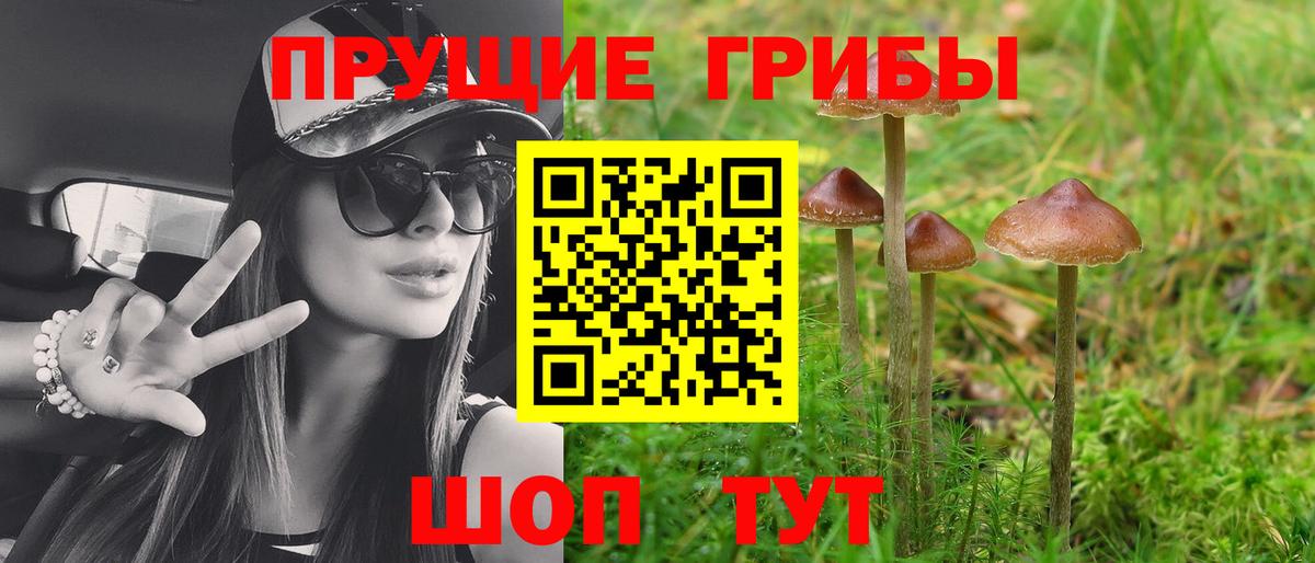 Галлюциногенные грибы ЛСД Новокубанск
