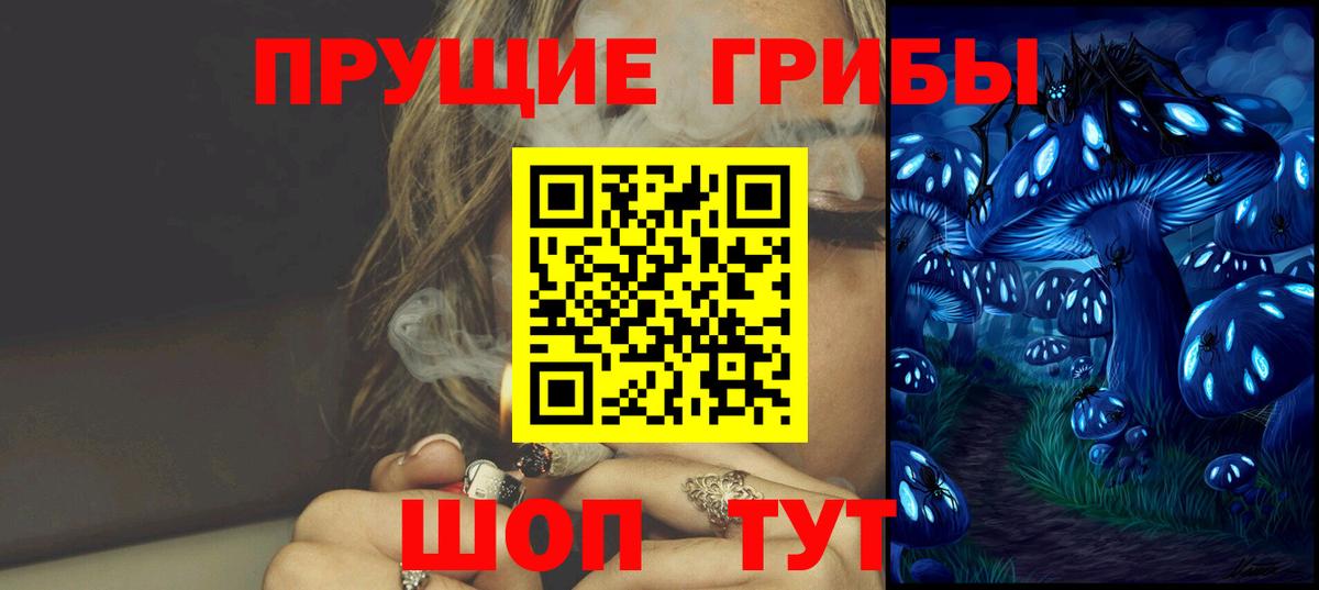 цены наркотик  Вход с VPN  Новокубанск  Псилоцибиновые грибы MAGIC MUSHROOMS 